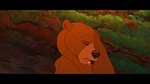 Image Brother Bear