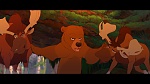 Image Brother Bear