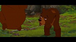 Image Brother Bear