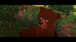 Image Brother Bear