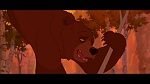 Image Brother Bear