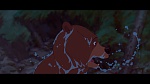 Image Brother Bear