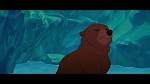 Brother Bear picture
