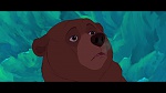 Image Brother Bear