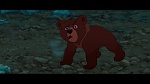 Image Brother Bear