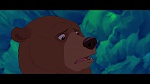 Image Brother Bear
