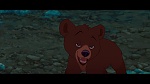 Image Brother Bear