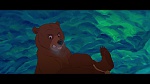 Image Brother Bear