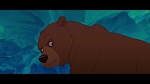 Brother Bear picture