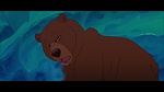 Image Brother Bear