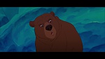 Image Brother Bear