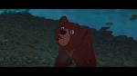 Image Brother Bear