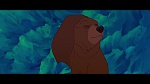 Image Brother Bear