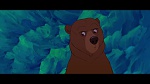 Image Brother Bear