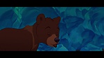 Image Brother Bear