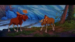 Brother Bear picture