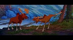 Brother Bear picture
