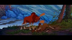 Image Brother Bear