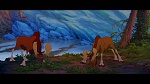 Image Brother Bear
