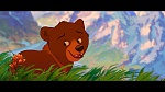 Brother Bear picture