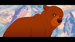 Brother Bear picture