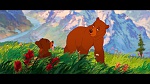 Image Brother Bear