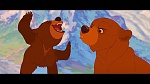 Brother Bear picture