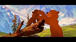 Brother Bear picture
