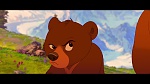 Brother Bear picture