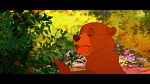 Brother Bear picture