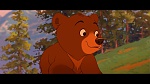 Brother Bear picture