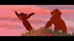 Brother Bear picture