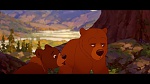 Brother Bear picture