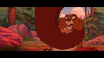 Brother Bear picture