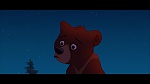 Brother Bear picture