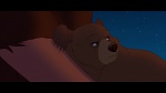 Brother Bear picture