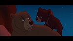Brother Bear picture