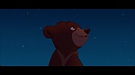 Brother Bear picture