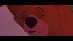 Brother Bear picture