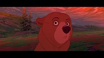 Image Brother Bear