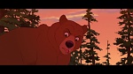 Brother Bear picture