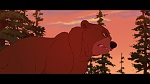 Brother Bear picture