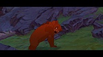 Brother Bear picture