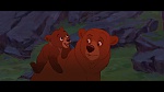 Brother Bear picture