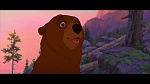 Brother Bear picture