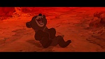 Brother Bear picture