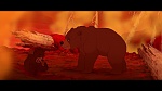 Brother Bear picture