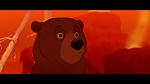 Brother Bear picture