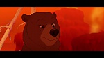 Brother Bear picture