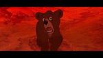 Brother Bear picture